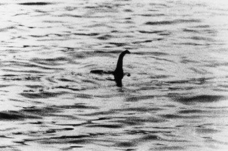 新疆天池疑似发现水怪是什么动物？身体有15米长，多名游客看到它潜入水下