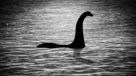 宁夏神秘湖泊发现巨型水怪是什么动物？被当地村民现场遇到，已生活100多年