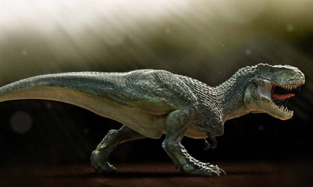 白垩纪植食角龙：始恐龙带有扇形颈盾长80厘米长角