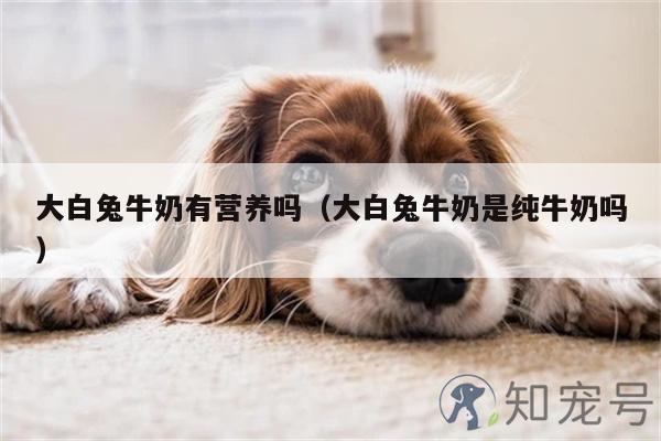 大白兔牛奶有营养吗？大白兔牛奶是纯牛奶吗？