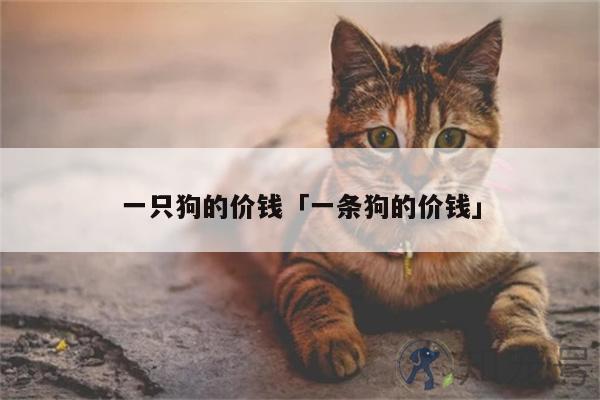 北极熊南极的还是北极的？北极熊生长在南极还是北极