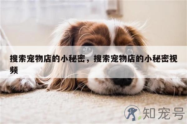  小狗吃一点巧克力会死吗？？小狗吃一点巧克力会死吗？