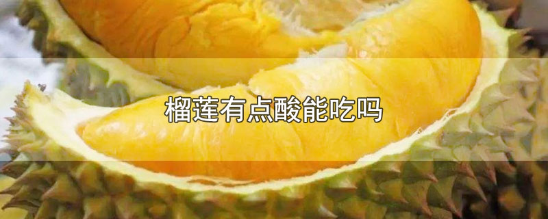 趣知识：榴莲有点酸能吃吗？最好别吃了榴莲有点酸能吃吗？