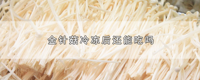 趣知识：金针菇冷冻后还能吃吗？金针菇冷冻了之后还能吃吗？