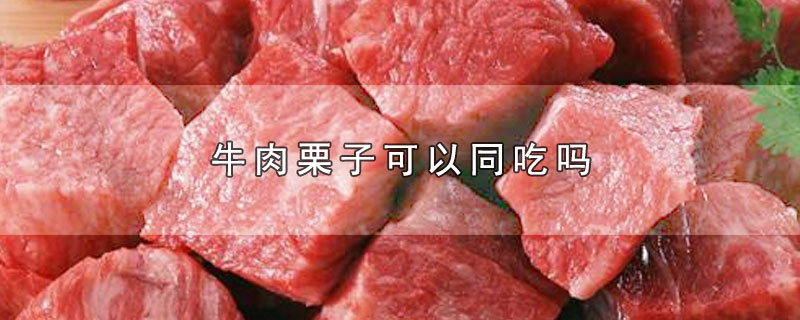 趣知识：牛肉栗子可以同吃吗？栗子和牛肉为什么不宜同食