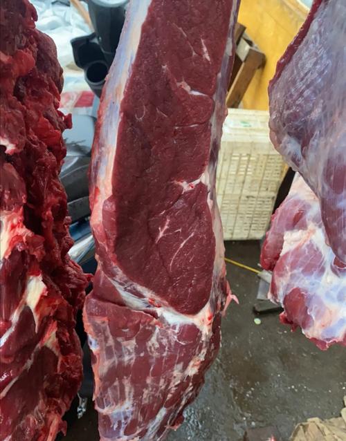 内蒙鲜牛肉容易坏是真的吗？